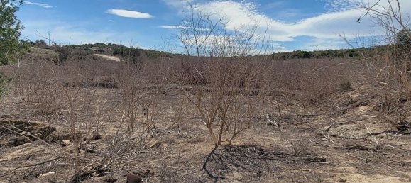 Casa de 1 dormitorio en San Miguel de Salinas, Spain No. 185154 25