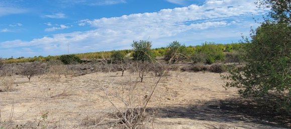 Casa de 1 dormitorio en San Miguel de Salinas, Spain No. 185154 26