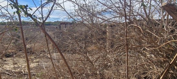 Casa de 1 dormitorio en San Miguel de Salinas, Spain No. 185154 27