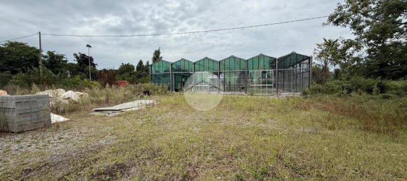 1-Zimmer Lagerhaus in Cologno al Serio, Italy, Nr. 322207 18