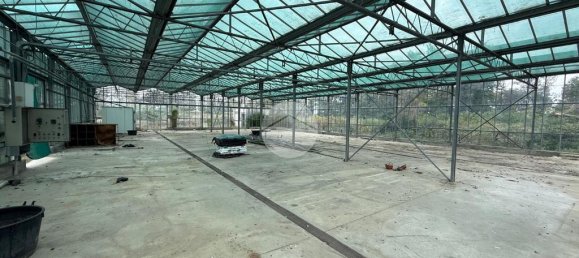 1-Zimmer Lagerhaus in Cologno al Serio, Italy, Nr. 322207 6