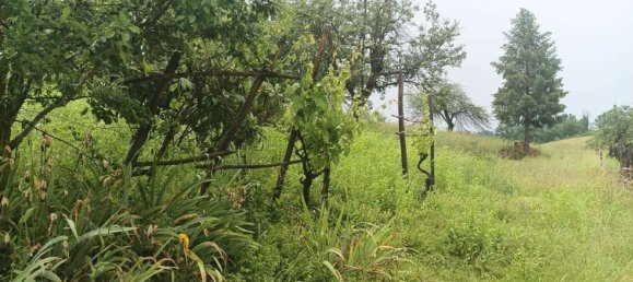 4 rooms House in Pavarolo, Italy No. 78079 25