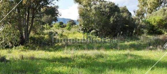 Terrain à Pula, Italy 100000m² No. 111325 2