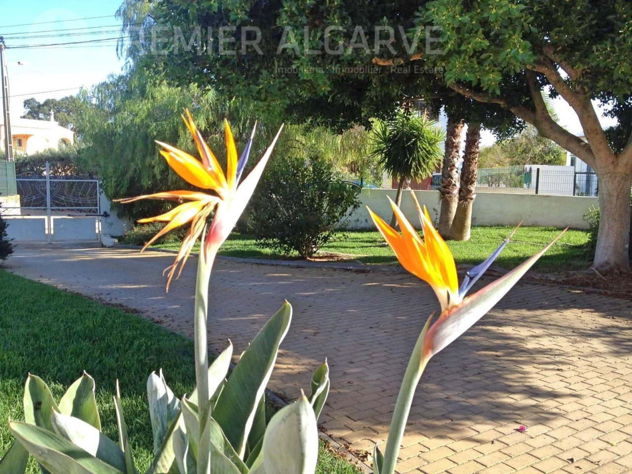 3 bedrooms House in Quelfes, Portugal No. 98216