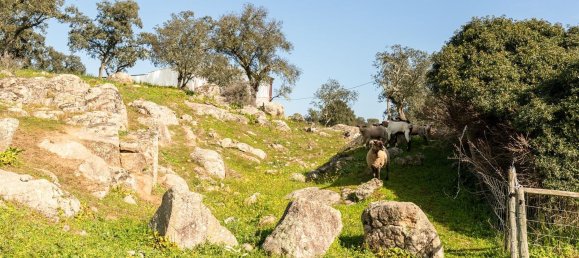 8 Schlafzimmer Schlösser in Ervedal, Portugal, Nr. 138549 49