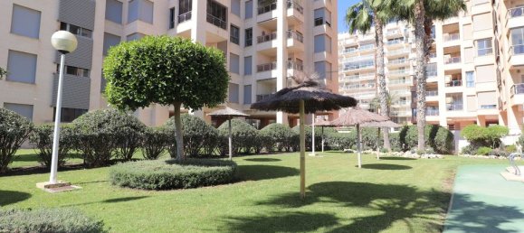 3 chambres Penthouse à Guardamar del Segura, Spain No. 176253 27