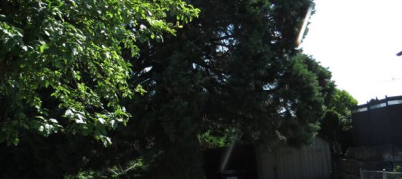 5 غرف نوم منزل في Ostalbkreis, Germany رقم 369508 12