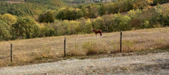 3-Zimmer Haus in Roccalbegna, Italy, Nr. 148471 4