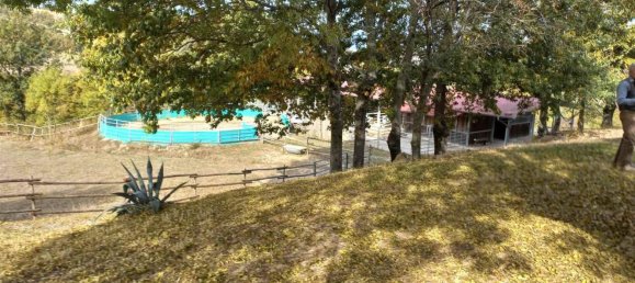 3-Zimmer Haus in Roccalbegna, Italy, Nr. 148471 35