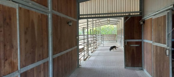 3-Zimmer Haus in Roccalbegna, Italy, Nr. 148471 30