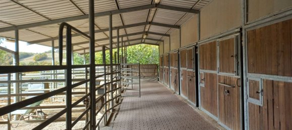 3-Zimmer Haus in Roccalbegna, Italy, Nr. 148471 31