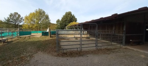 3-Zimmer Haus in Roccalbegna, Italy, Nr. 148471 32