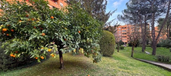 3 rooms Apartment in Rome, Italy No. 183136 10