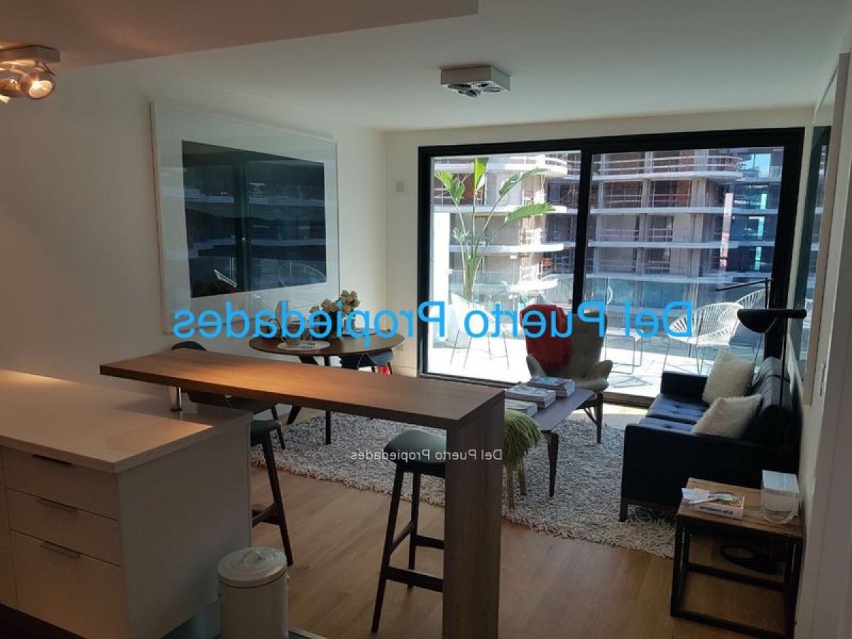 Studio in Montevideo, Uruguay No. 695