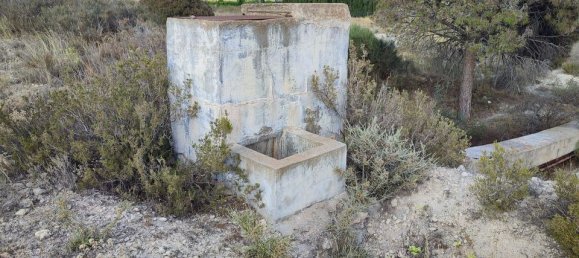  قطعة أرض في Sax, Spain رقم 170321 5