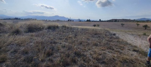  قطعة أرض في Sax, Spain رقم 170321 9