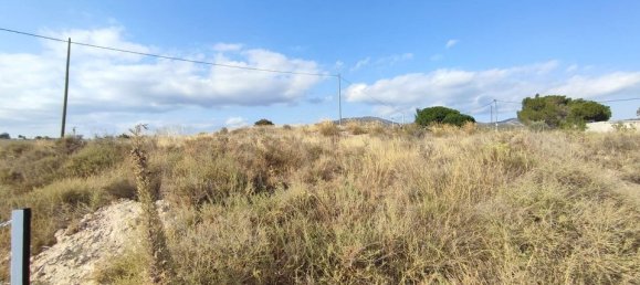  قطعة أرض في Sax, Spain رقم 170321 14