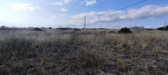  قطعة أرض في Sax, Spain رقم 170321 10