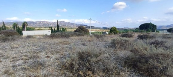  قطعة أرض في Sax, Spain رقم 170321 3