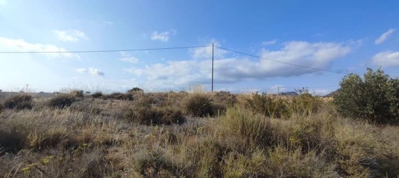  قطعة أرض في Sax, Spain رقم 170321 11