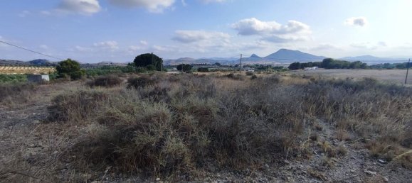  قطعة أرض في Sax, Spain رقم 170321 13