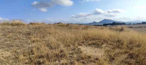  قطعة أرض في Sax, Spain رقم 170321 12