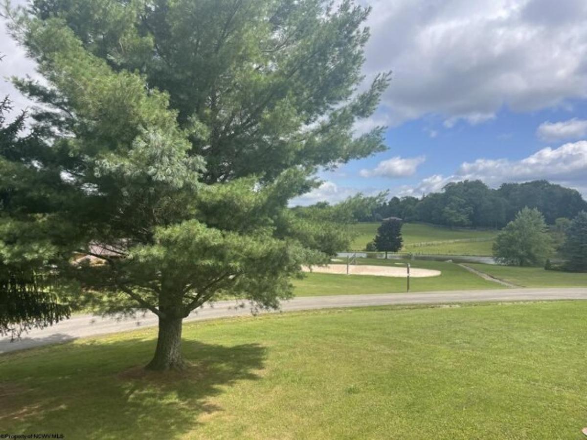 3 bedrooms House in Davis, USA No. 398123