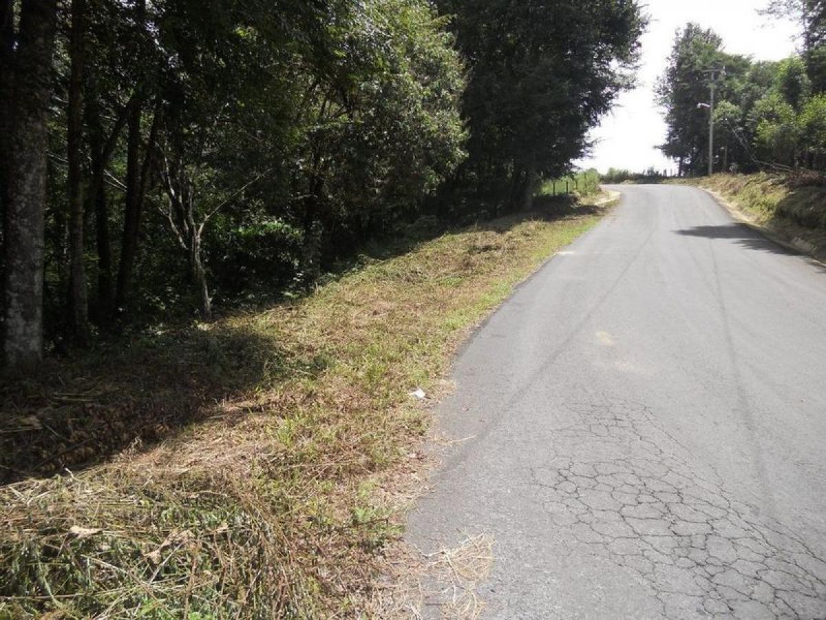 Grundstück in Veracruz, Mexico, Nr. 203577