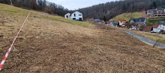 Земельный участок в Ашаффенбург, Германия № 292319 5