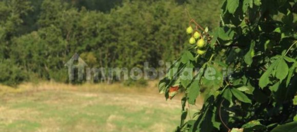 2 غرف نوم منزل في Montecreto, Italy رقم 254832 9