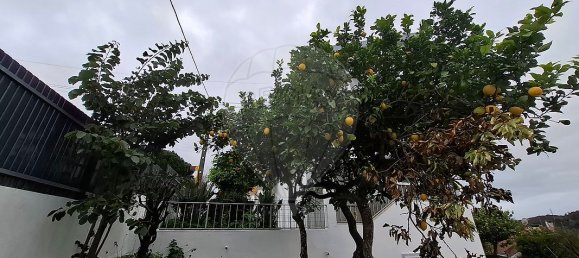 6 Schlafzimmer Haus in Oeiras, Portugal, Nr. 44945 10