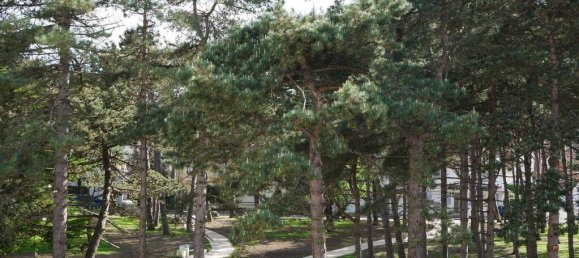 2 غرف نوم شقة في Le Touquet-Paris-Plage, France رقم 61425 4