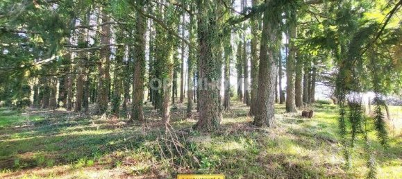 3 Schlafzimmer Haus in La Chapelle-Hugon, France, Nr. 230024 2