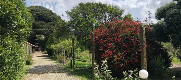 7 bedrooms House in Vila Nova de Gaia, Portugal No. 50988 14