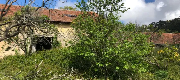 7 bedrooms House in Vila Nova de Gaia, Portugal No. 50988 27