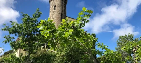 7 bedrooms House in Vila Nova de Gaia, Portugal No. 50988 8