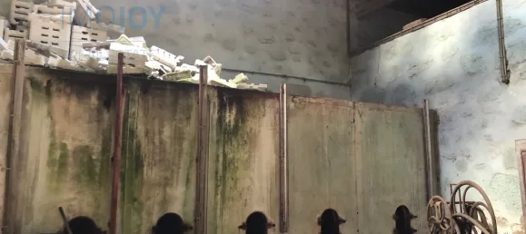 7 bedrooms House in Vila Nova de Gaia, Portugal No. 50988 28