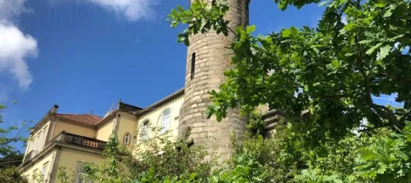 7 bedrooms House in Vila Nova de Gaia, Portugal No. 50988 9