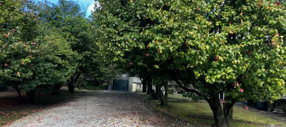 7 bedrooms House in Vila Nova de Gaia, Portugal No. 50988 16