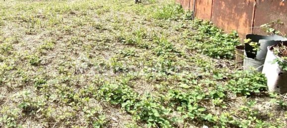 4 bedrooms House in Carrara, Italy No. 41475 9