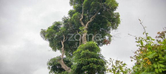 Terrain à Funchal, Portugal 2080m² No. 85900 10