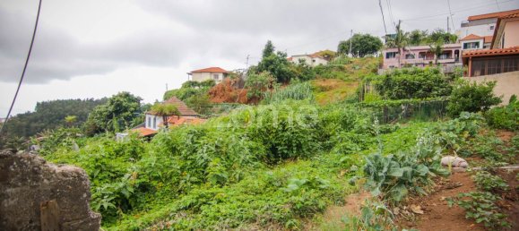 Terrain à Funchal, Portugal 2080m² No. 85900 3