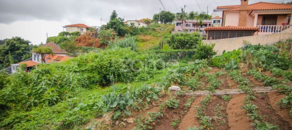 Terrain à Funchal, Portugal 2080m² No. 85900 2