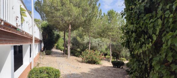 5 Schlafzimmer Stadthaus in Molina de Segura, Spain, Nr. 178634 22