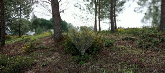 Terreno en Ourem, Portugal 484 m² No. 73942 3