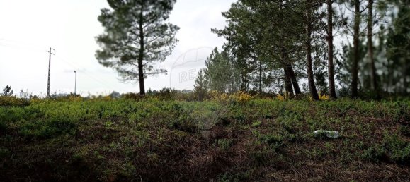 Terreno en Ourem, Portugal 484 m² No. 73942 5