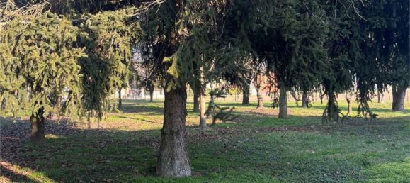 2997m² Land in San Possidonio, Italy No. 169065 5