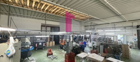  مستودع في Vigonovo, Italy 660متر مربع رقم 283042 15