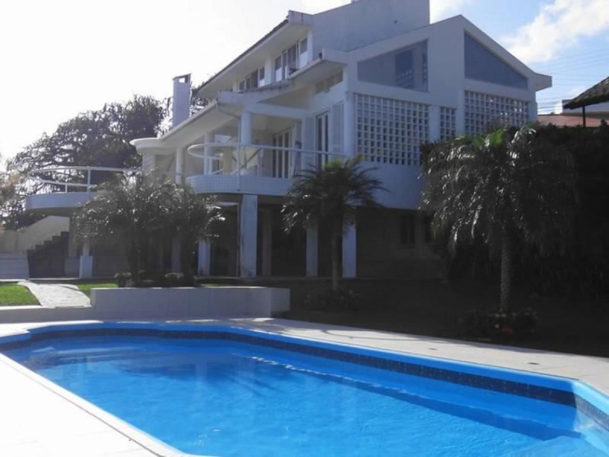 Studio in Florianopolis, Brazil No. 513841