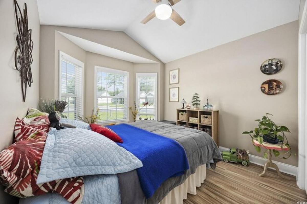 3 bedrooms House in Conway, USA No. 379984